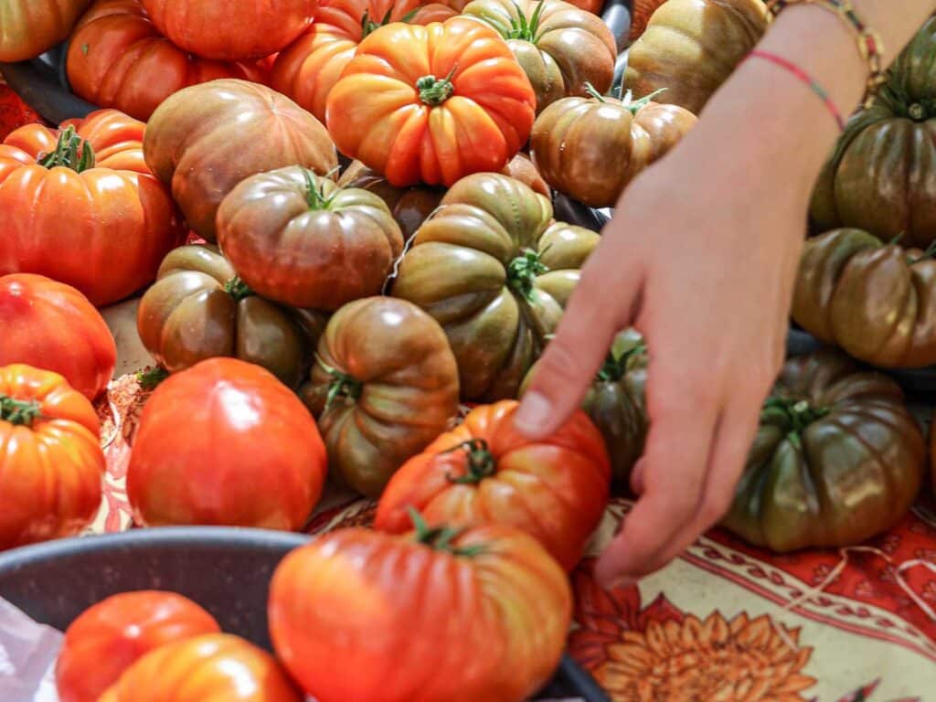 Onko lahiruoka ekologista Vegefrendit