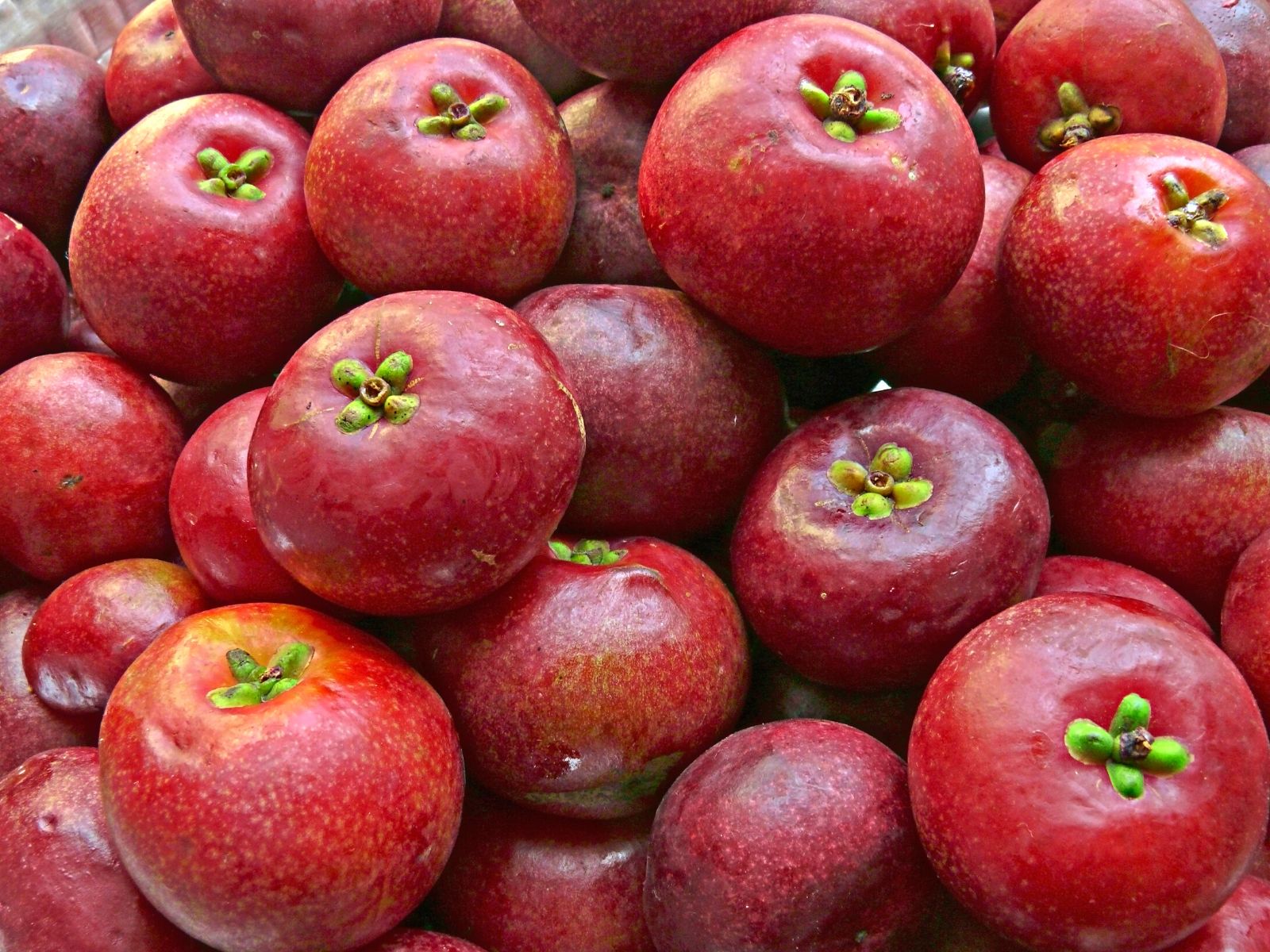 Kokum Raita Kokum, Garcinia Indica - Odotettu Superfood - Vegefrendit