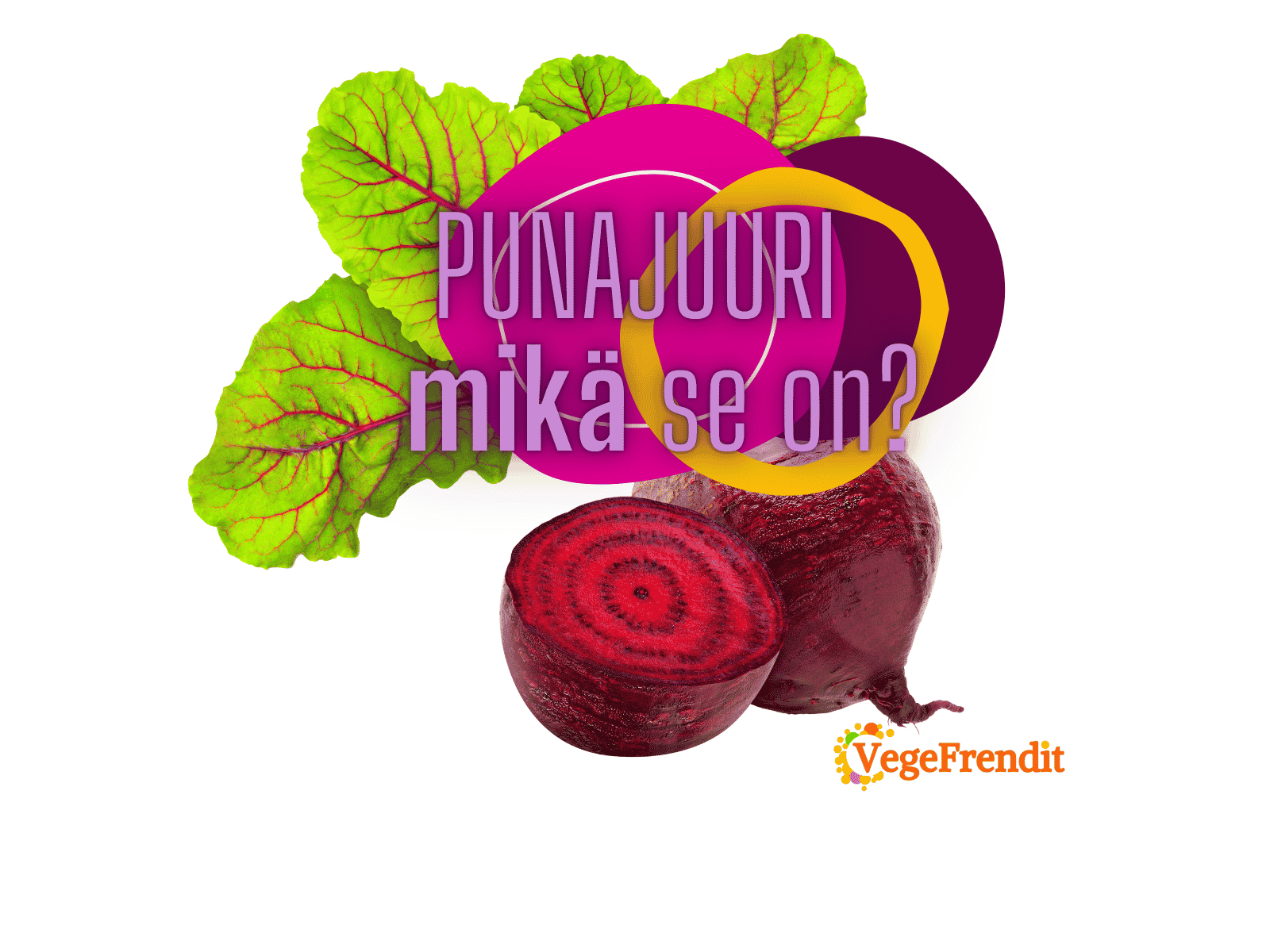 Punajuuri Vegefrendit Punajuuri Vegefrendit