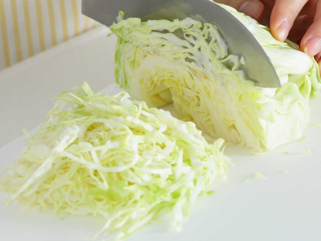 rasvanpolttokeitto Vegefrendit